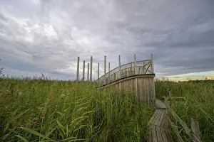 Wooden viewing platform with a view of extensive reeds under cloudy sky