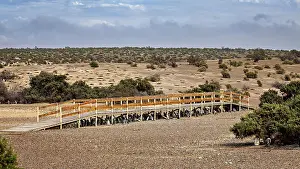 Framed Print : Wooden walkway snakes through a vast dry landscape