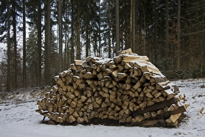 Woodpile in a wintery forest