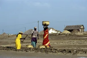 Workers at Salt Pan in Thoothukudi Tuticorin