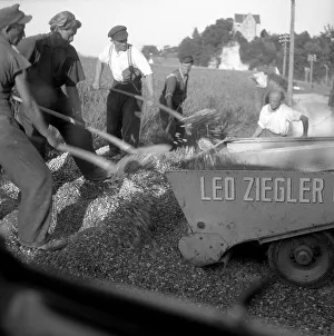 Workers shovel pebbles into a wagon