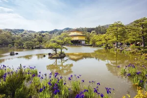 The world famous Kinkakuji Temple (The Golden Pavilion) in Kyoto
