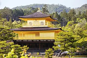 The world famous Kinkakuji Temple (The Golden Pavilion) in Kyoto