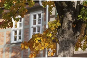 World Heritage City of Quedlinburg