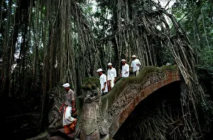 Worshippers in the Hindu temple Monkey Forest
