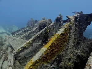 Category Coral Reefs DE Prints: Wreck of the Benwood. Dive site John Pennekamp Coral Reef State Park