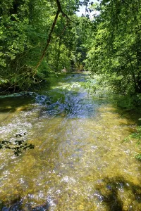 Wurm near Planegg, Upper Bavaria