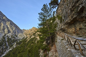 Xyloskalo, wooden stairs, gorge