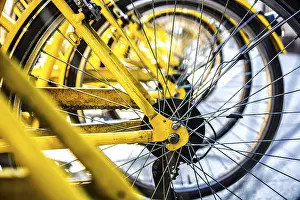 Yellow bike',s wheel in row outdoor. Close-up