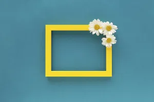 Yellow border blank photo frame decorated with white daisy flowers blue background