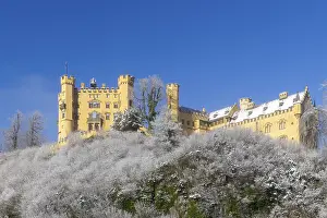 Yellow castle on a hill with snow-covered trees under a clear blue sky
