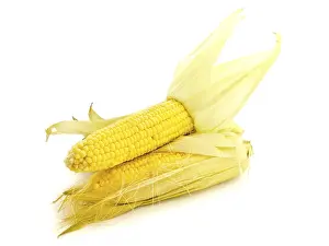 Two Yellow Corns Against The White Background