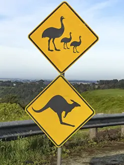 Two yellow diamond shaped signs featuring silhouettes of emus