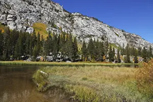 Yellow, green and orange colors of autumn
