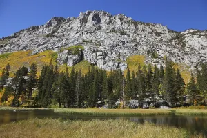 Yellow, green and orange colors of autumn