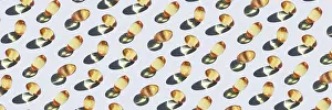 Yellow omega 3 capsule pattern