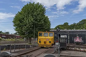 Yellow railway vehicle on rails in front of a tree and depot building