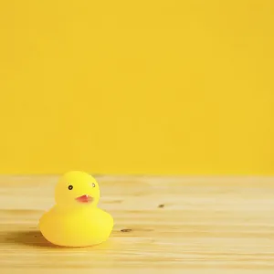 Yellow rubber duck doll on wooden table