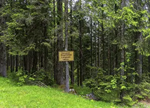 Yellow sign in the forest, ski area at the Goetschen Alm