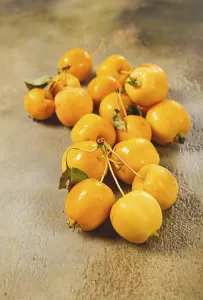 Yellow small apples, Chinese variety