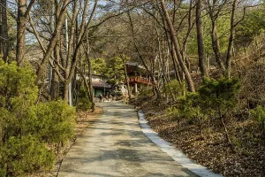 Framed Print : Yeongi-gun, South Korea. December 24