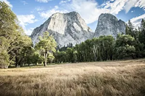 Yosemite half dome with meadow