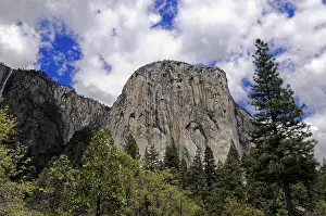 Framed Print : Yosemite National Park, California