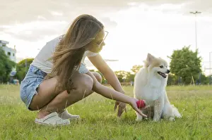 Young beautiful woman playing with German Spitz dog in the summer park