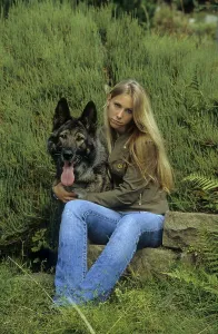 Young blond girl with German Shepherd