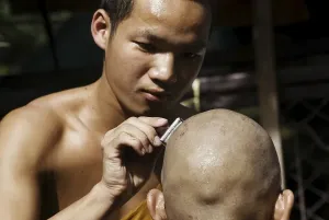 Category Buddhism Prints: Young Buddhist monk having his head shaved with an old fashioned safety razor in Chiang Mai