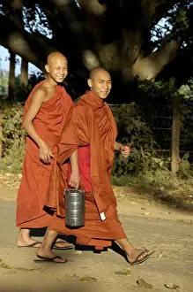 Two young Buddhist monks laughing in red robes walk along an old fig tree Pindaya Shan State Burma