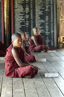 Young buddhist monks, Shweyanpyay monastery
