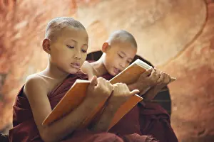 Young Buddhist novice monk reading and study outside monastery