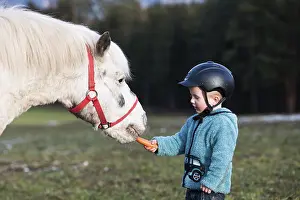 Young child wearing a riding helmet feeding a pony