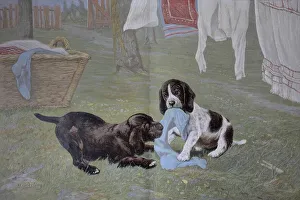Young dogs at play, pulling laundry off the line