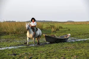 Young gaucho pulling a boat with reeds