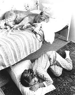 Young lion sleeps in crib, the girl on the floor