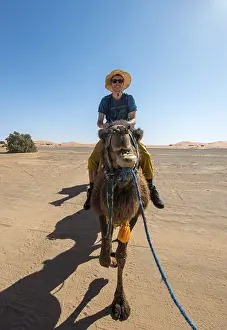 Young man riding on a camel, caravan with Dromedary (Camelus dromedarius)