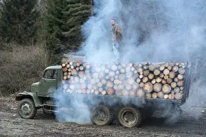 Category Oldtimer Prints: Young man on vintage truck with logs in the forest