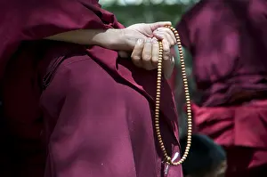 Young monks during their daily discussion round in Saga Temple
