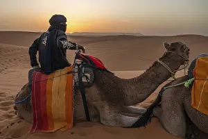 Young moroccan man with his face covered sits on a camel in the desert during sunset