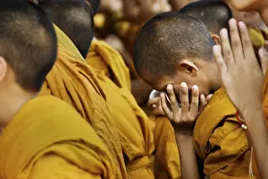 Young novice monks at prayer in Chiang Mai