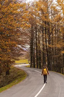 A young woman walking along a road surrounded by trees in autumn