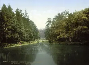 In the Zeister Forest, Utrecht