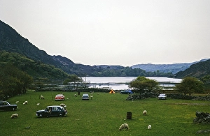 Zeltlager in einer Schafherde in Cwm Bychan, Llanbedr, Gwynedd, ehemals Meirionnydd, Wales, Vereinigtes Koenigreich Mai 1972