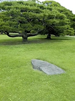Zen garden background in summer
