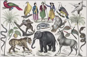 Zone-paintings South Asia, East Indian Islands