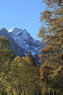 Zugspitze and autumnal trees, Upper Bavaria