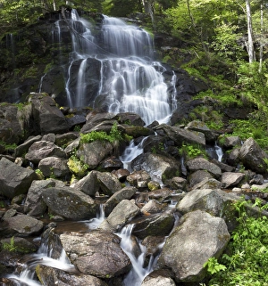 Zweribach waterfalls at Mt Kandel